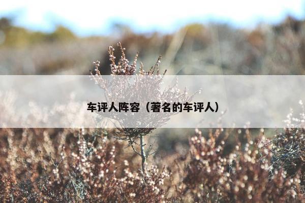 车评人阵容（著名的车评人）