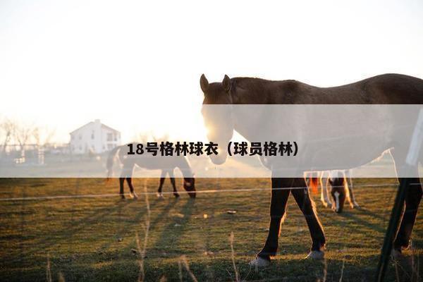 18号格林球衣（球员格林）