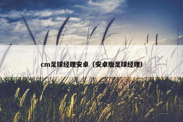 cm足球经理安卓（安卓版足球经理）