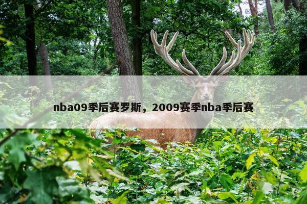 nba09季后赛罗斯，2009赛季nba季后赛