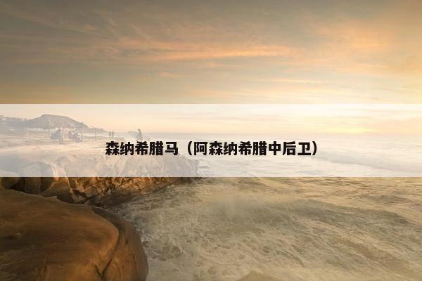 森纳希腊马（阿森纳希腊中后卫）