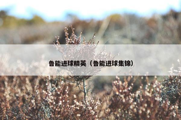 鲁能进球精英（鲁能进球集锦）