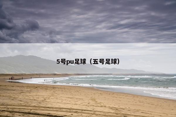 5号pu足球（五号足球）