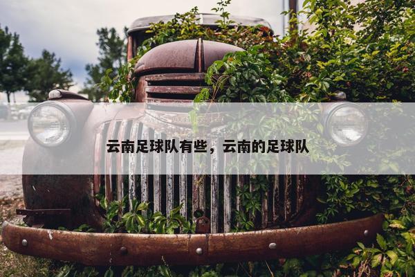 云南足球队有些，云南的足球队