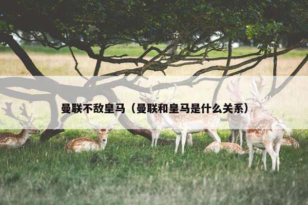 曼联不敌皇马（曼联和皇马是什么关系）