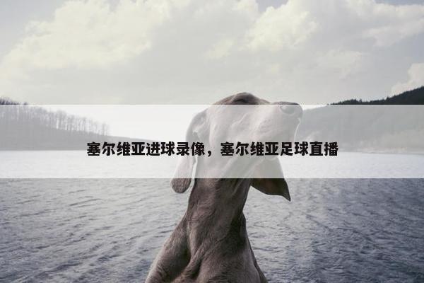 塞尔维亚进球录像，塞尔维亚足球直播
