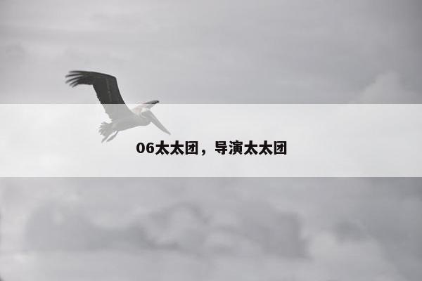 06太太团，导演太太团