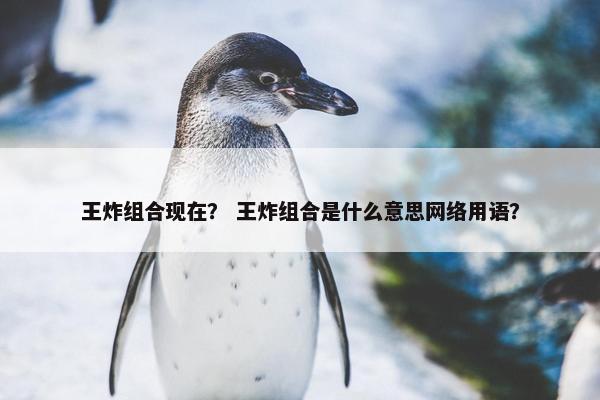 王炸组合现在？ 王炸组合是什么意思网络用语？