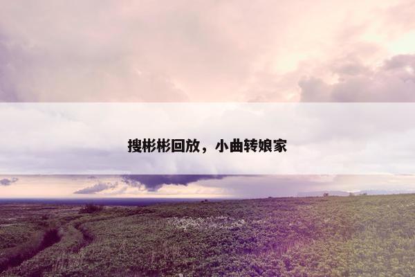 搜彬彬回放，小曲转娘家