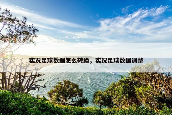 实况足球数据怎么转换，实况足球数据调整