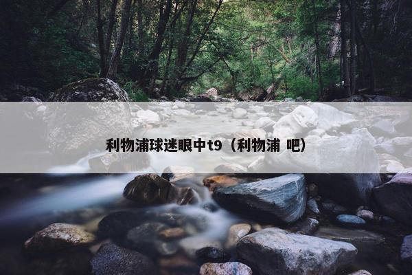 利物浦球迷眼中t9（利物浦 吧）