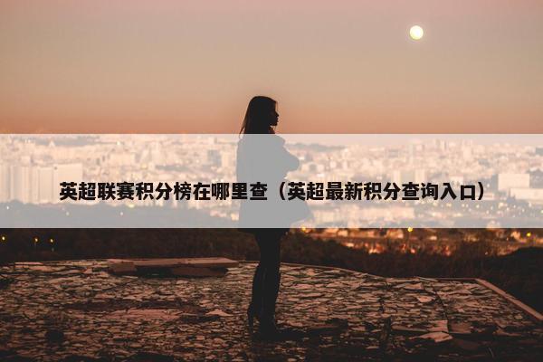 英超联赛积分榜在哪里查（英超最新积分查询入口）