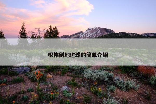 根伟倒地进球的简单介绍