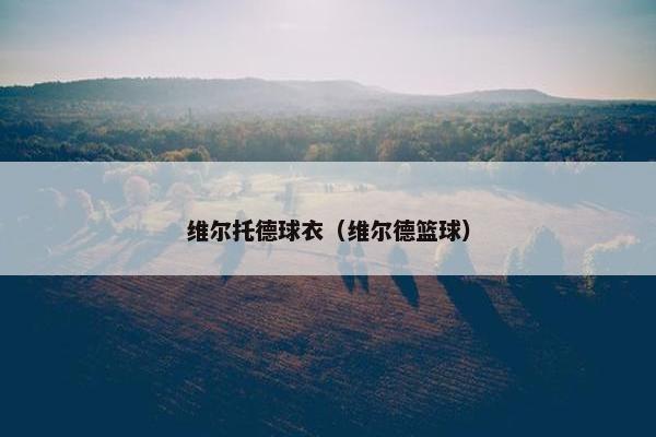 维尔托德球衣（维尔德篮球）