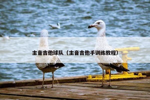 主音吉他球队（主音吉他手训练教程）