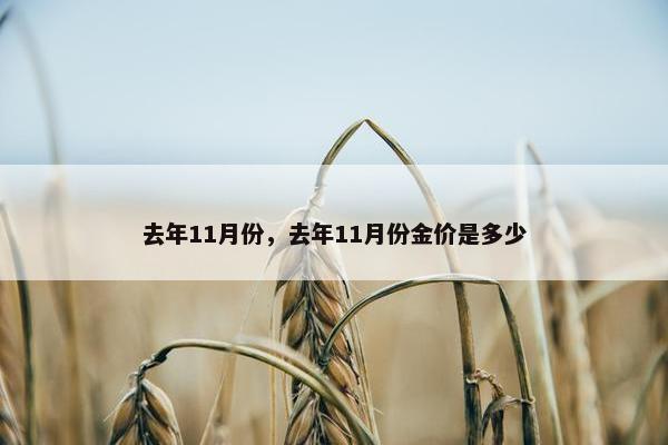 去年11月份，去年11月份金价是多少