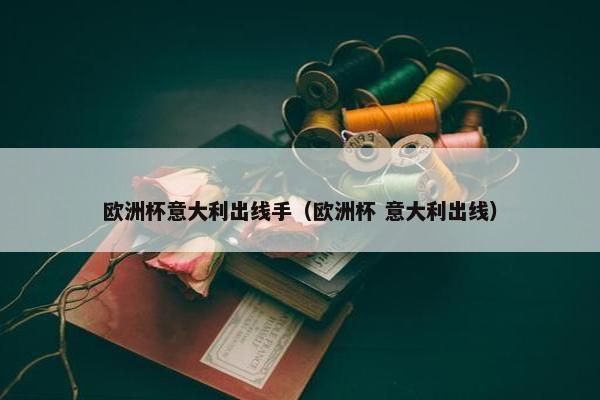 欧洲杯意大利出线手（欧洲杯 意大利出线）