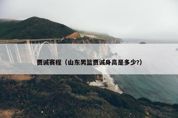 贾诚赛程（山东男篮贾诚身高是多少?）