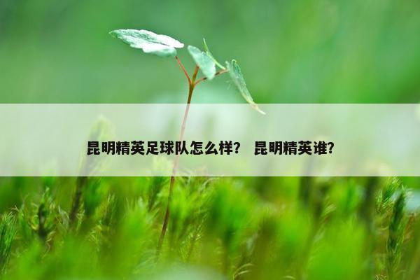 昆明精英足球队怎么样？ 昆明精英谁？