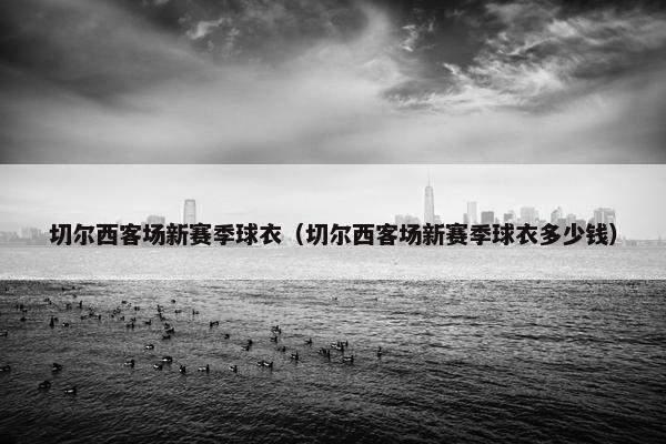 切尔西客场新赛季球衣（切尔西客场新赛季球衣多少钱）