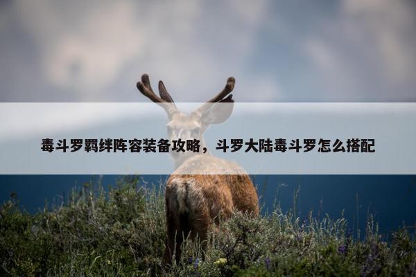 毒斗罗羁绊阵容装备攻略，斗罗大陆毒斗罗怎么搭配