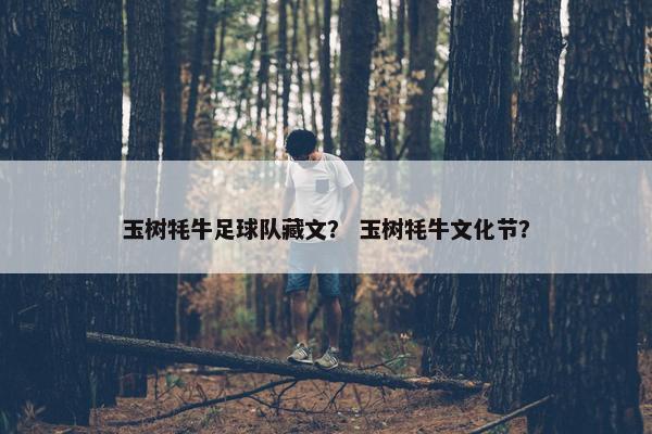 玉树牦牛足球队藏文？ 玉树牦牛文化节？