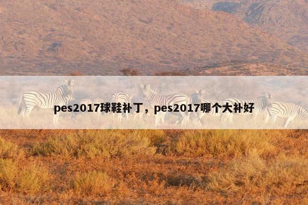 pes2017球鞋补丁，pes2017哪个大补好