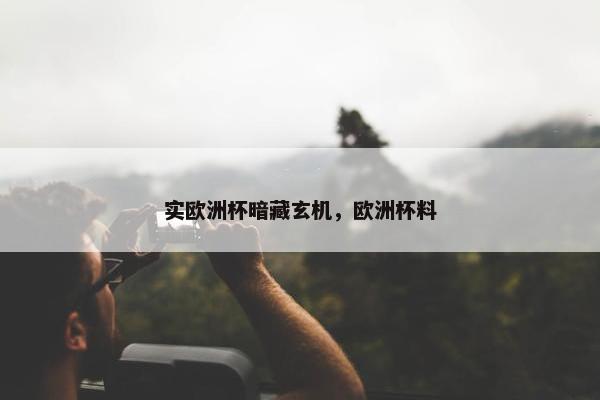 实欧洲杯暗藏玄机，欧洲杯料