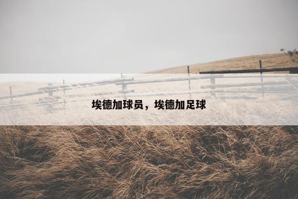 埃德加球员，埃德加足球