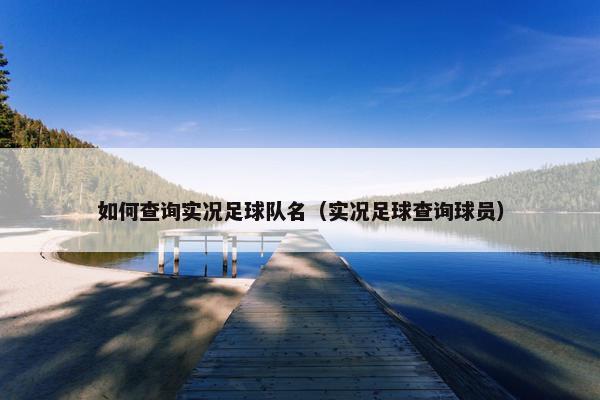 如何查询实况足球队名（实况足球查询球员）