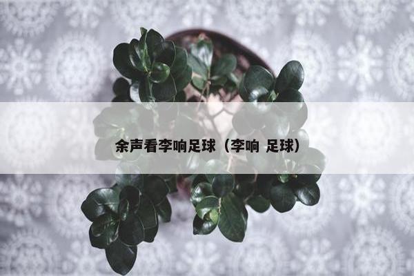 余声看李响足球（李响 足球）