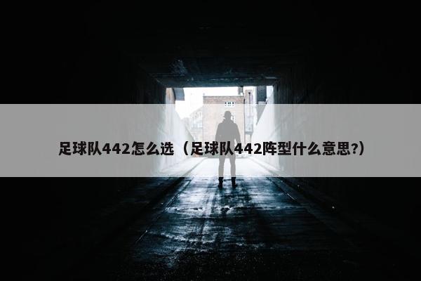 足球队442怎么选（足球队442阵型什么意思?）