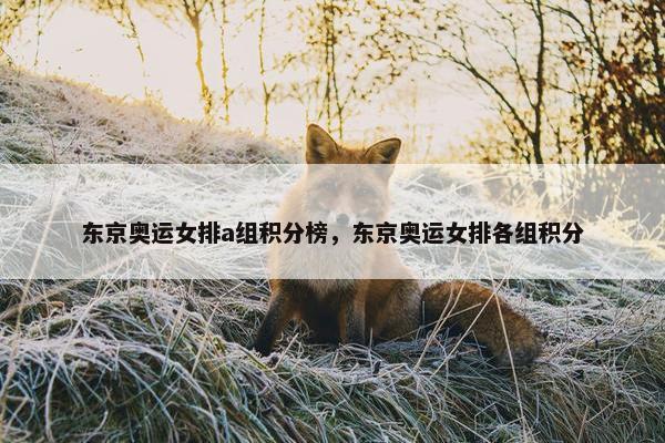 东京奥运女排a组积分榜，东京奥运女排各组积分