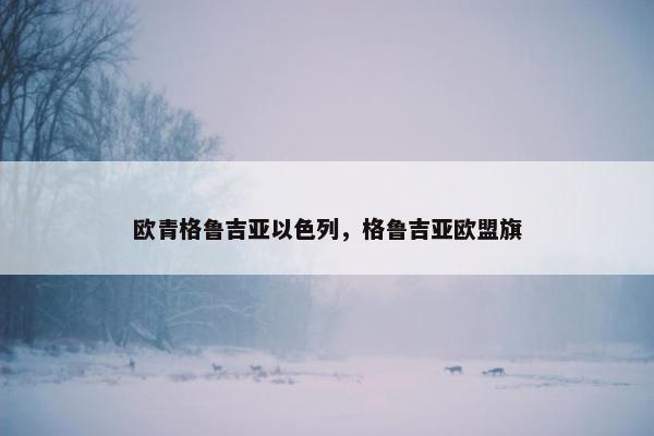 欧青格鲁吉亚以色列，格鲁吉亚欧盟旗