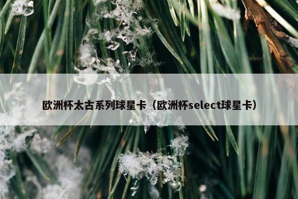欧洲杯太古系列球星卡（欧洲杯select球星卡）
