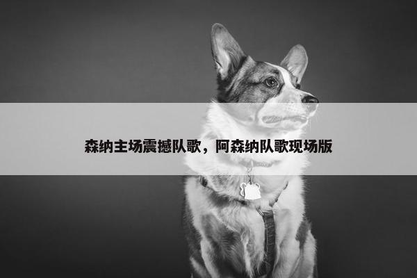 森纳主场震撼队歌，阿森纳队歌现场版