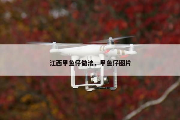 江西甲鱼仔做法，甲鱼仔图片