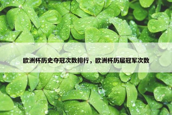 欧洲杯历史夺冠次数排行，欧洲杯历届冠军次数
