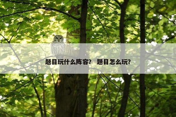 题目玩什么阵容？ 题目怎么玩？