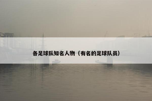 各足球队知名人物（有名的足球队员）