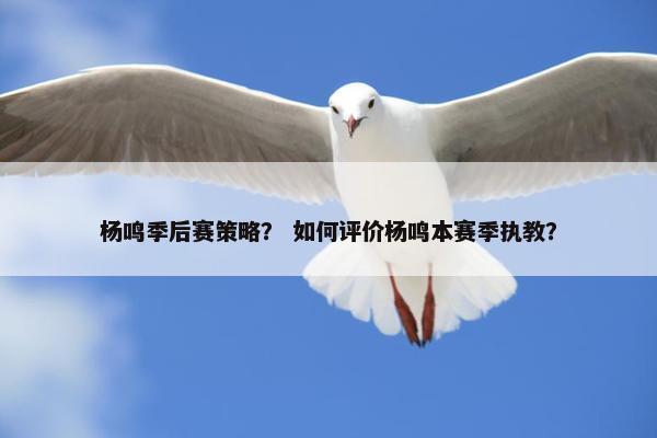 杨鸣季后赛策略？ 如何评价杨鸣本赛季执教？