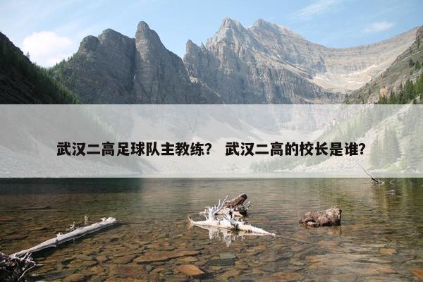 武汉二高足球队主教练？ 武汉二高的校长是谁？