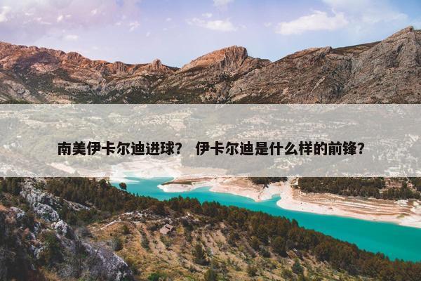 南美伊卡尔迪进球？ 伊卡尔迪是什么样的前锋？