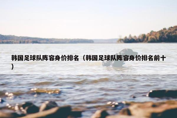 韩国足球队阵容身价排名（韩国足球队阵容身价排名前十）