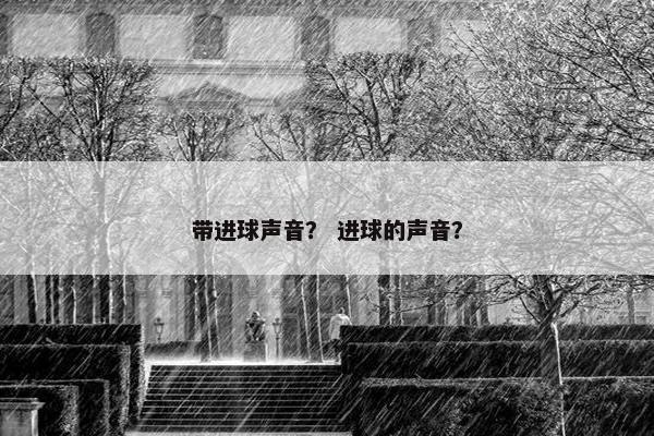 带进球声音？ 进球的声音？