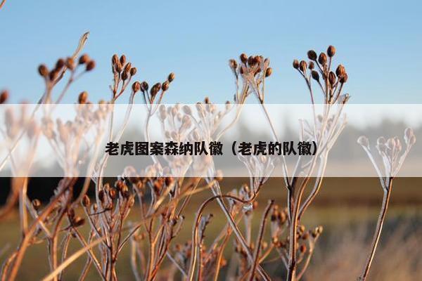 老虎图案森纳队徽（老虎的队徽）