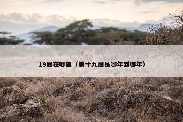 19届在哪里（第十九届是哪年到哪年）