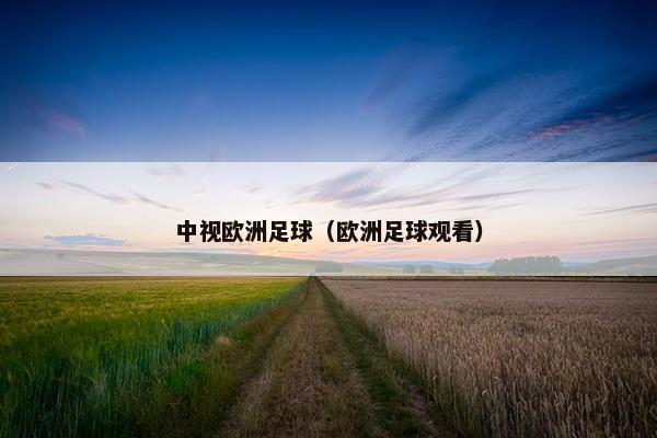 中视欧洲足球（欧洲足球观看）