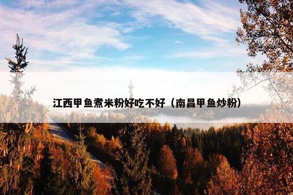 江西甲鱼煮米粉好吃不好（南昌甲鱼炒粉）