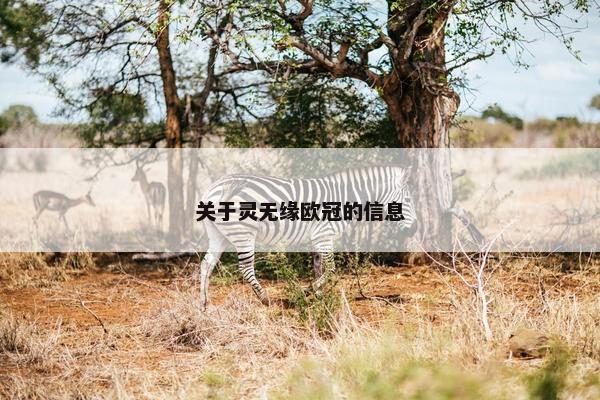 关于灵无缘欧冠的信息